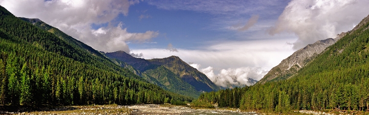 Баннер 1