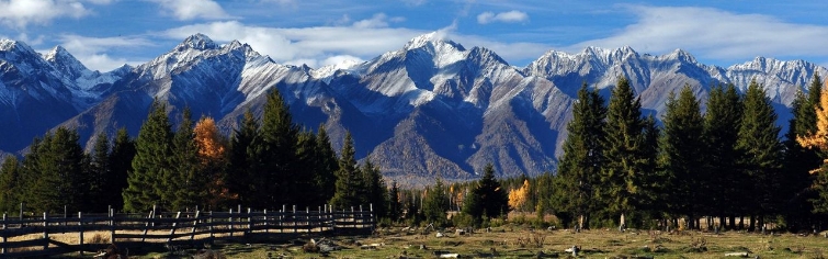 Баннер 2