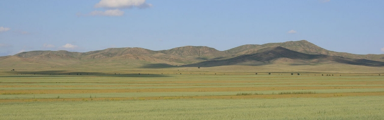 Баннер 4